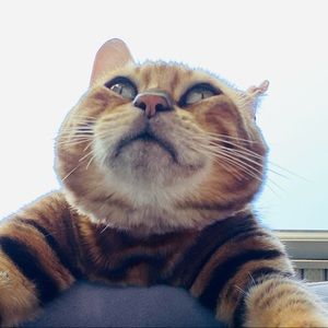 Meet your Posher, Mark